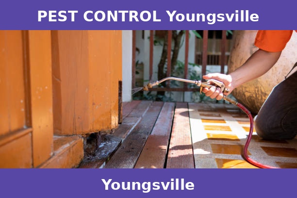 PEST CONTROL Youngsville